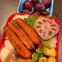 Snapdishの料理写真:ソーセージのっけ弁当⁉️|雑草シェリーさん