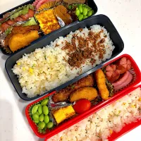 Snapdishの料理写真:今日のお弁当🍱|Chikaーーさん