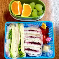 Snapdishの料理写真:お弁当日記|はなママさん