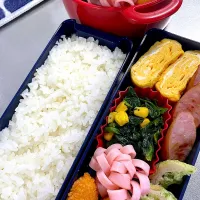 Snapdishの料理写真:今日のお弁当🍱|＊C＊さん