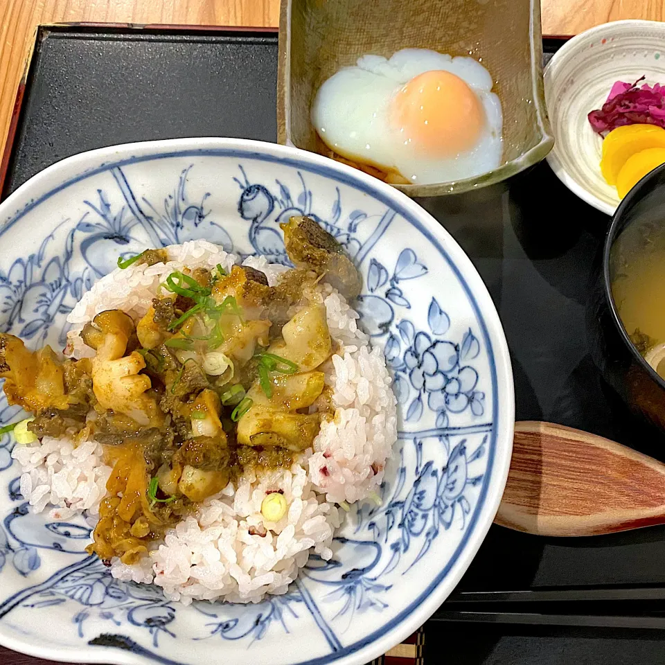 あわびの肝ソースがけ丼|すいかみかんさん