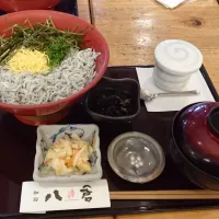 Snapdishの料理写真:釜揚しらす丼|tkeakirさん