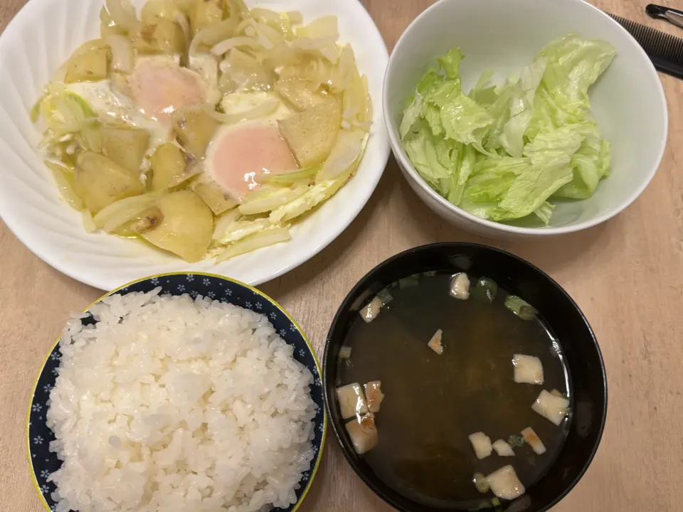 Snapdishの料理写真:寄せ集め|いおさん