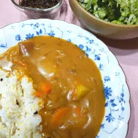 Snapdishの料理写真:甘酒入✨玄米粉カレー🍛|いのちのねっこ　あいこさん