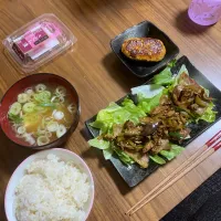 Snapdishの料理写真:夜　豚肉焼き中華和え､鶏つくね|みちくんさん