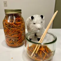 Snapdishの料理写真:2024/10/26 ごぼうとにんじんのラペ Burdock and Carrot Salad|19 Boys & 野鳥さん