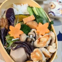 Snapdishの料理写真:本日のお弁当〜鶏肩肉のねぎま弁当|f.1125beさん