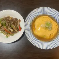 Snapdishの料理写真:青椒肉絲、天津飯|tatsuponさん