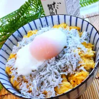 Snapdishの料理写真:Wたまごのしらす丼|ポコさん