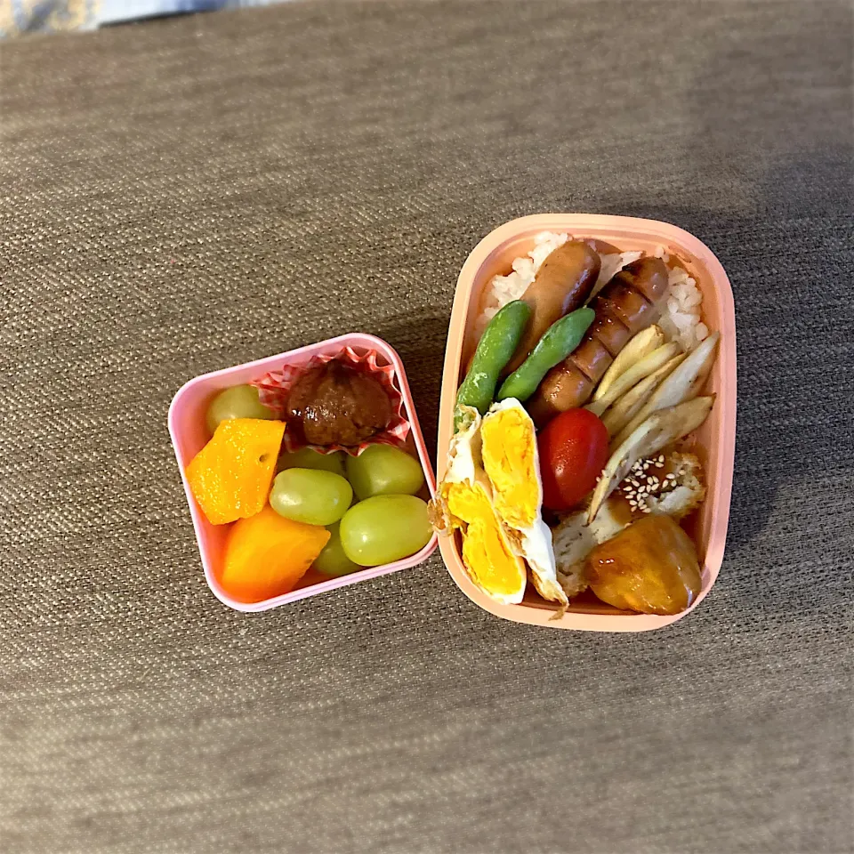 Snapdishの料理写真:今日のお弁当|leilaniさん