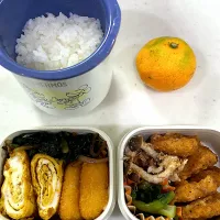 Snapdishの料理写真:10月28日のお弁当🍱|momotoemiさん