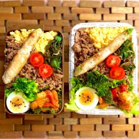 Snapdishの料理写真:そぼろ弁当