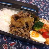 Snapdishの料理写真:牛丼弁当　254|キャンディさん