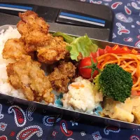 Snapdishの料理写真:唐揚げ弁当　255|キャンディさん