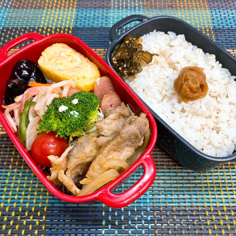 Snapdishの料理写真:今日の旦那さんのお弁当|naoさん