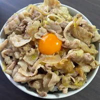 Snapdishの料理写真:すた丼|soraさん