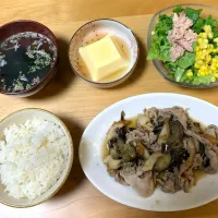 Snapdishの料理写真:今日のよるごはん＊|みかんさん