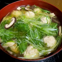 Snapdishの料理写真:鶏つくねと水菜のスープ|たまさん