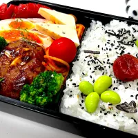 Snapdishの料理写真:今日のお弁当🍱です　20241029