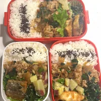 Snapdishの料理写真:野菜炒め弁当|ゆうりさん