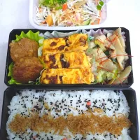 Snapdishの料理写真:🍀2024/1029(火)ハンバーグ弁当|ともちんさん