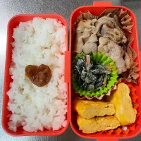 Snapdishの料理写真:塩麹ロース弁当|あおのりさん