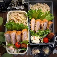 Snapdishの料理写真:ヒレカツ弁当|jewels3751さん