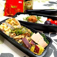 Snapdishの料理写真:🌏『世界の食卓探検隊』【お父たまのお弁当】