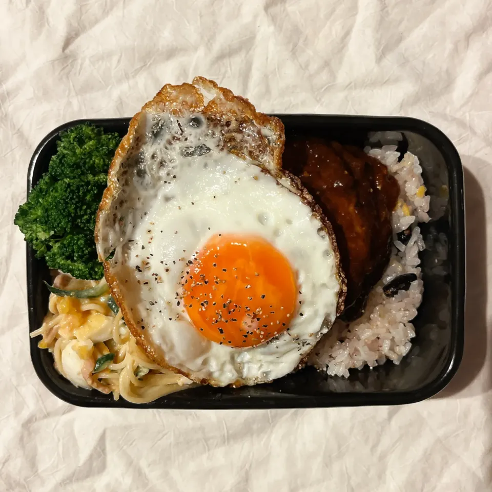 Snapdishの料理写真:煮込みハンバーグ弁当。|chocohimeさん