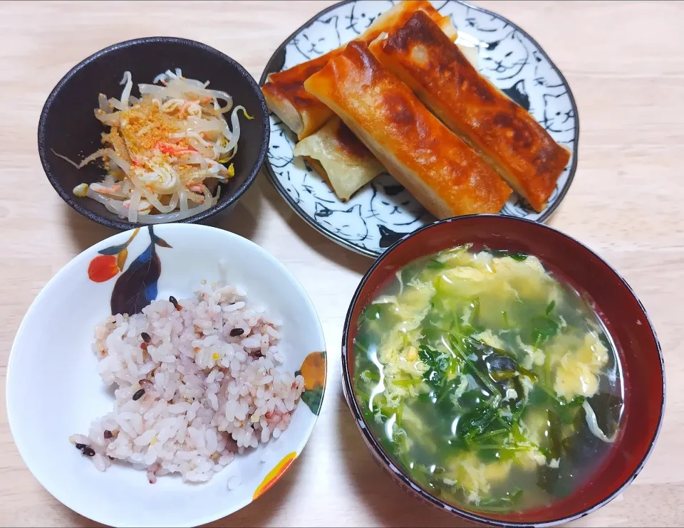 2024 1027　春巻き　もやしとかにかまの酢の物　豆苗とわかめの卵スープ|いもこ。さん