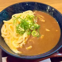 Snapdishの料理写真:🐣釜玉カレーうどん🍛|にゃあ（芸名）さん