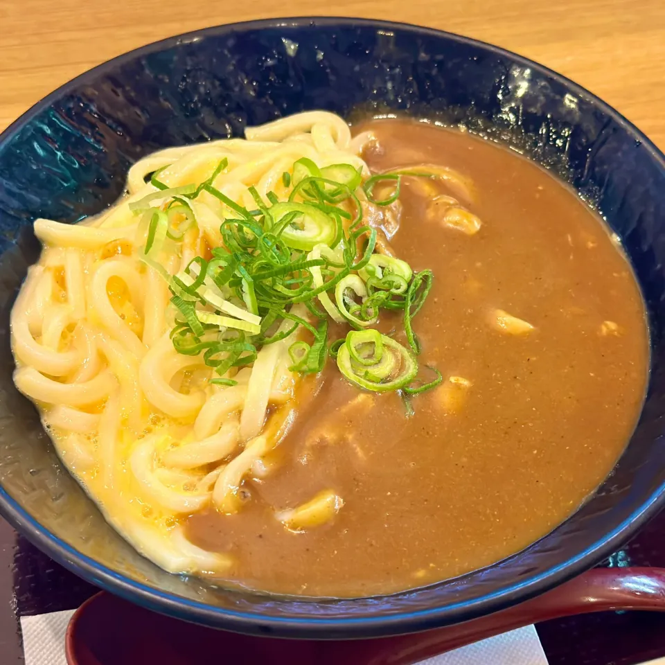 🐣釜玉カレーうどん🍛|にゃあ（芸名）さん