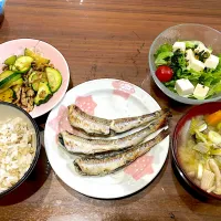 Snapdishの料理写真:にぎすの塩焼き　具沢山豚汁　豆腐サラダ　ズッキーニとひき肉のカレー炒め|おさむん17さん