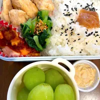 チキン南蛮お弁当🍱　デザートはマスカット|immayuyuさん