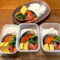 Snapdishの料理写真:みんなお弁当|tenoaさん