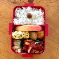 Snapdishの料理写真:ハンバーグ弁当|ももちゃんのママさん