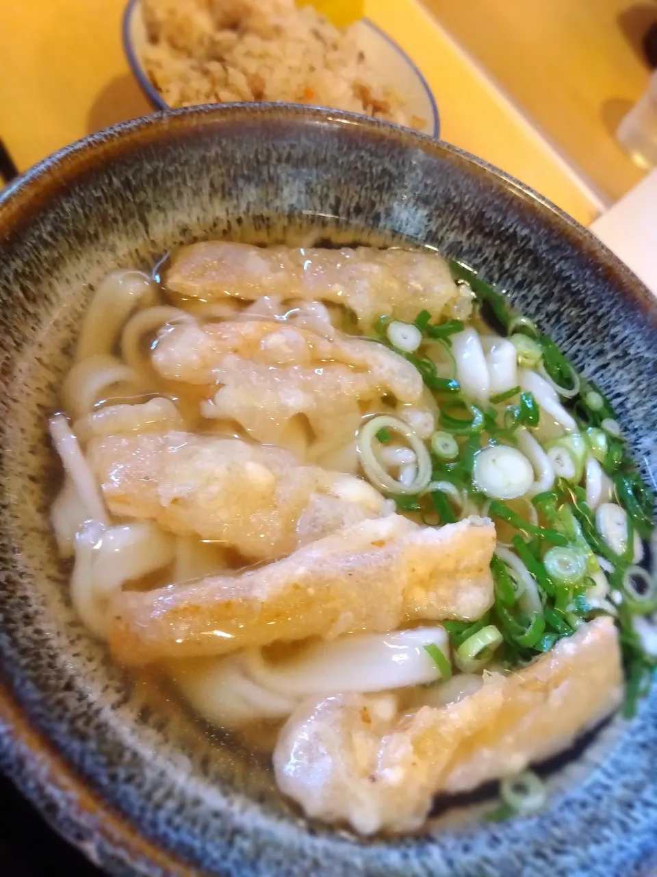 ごぼ天うどん|おはぎさん