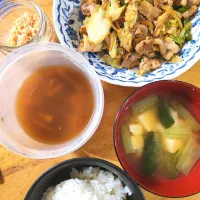 Snapdishの料理写真:回鍋肉、小松菜と豆腐の味噌汁、白菜と豆腐のポン酢煮、鮭フレーク|さきさん