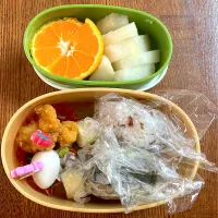 Snapdishの料理写真:遠足弁当|はなママさん