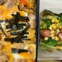 Snapdishの料理写真:親子丼弁当|あーやーさん