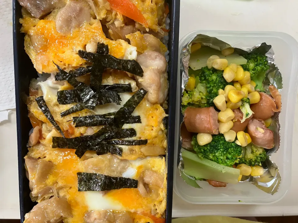 Snapdishの料理写真:親子丼弁当|あーやーさん