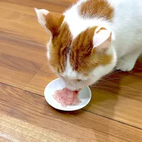 Snapdishの料理写真:おすそ分け🐱🐟|ひげおやじさん