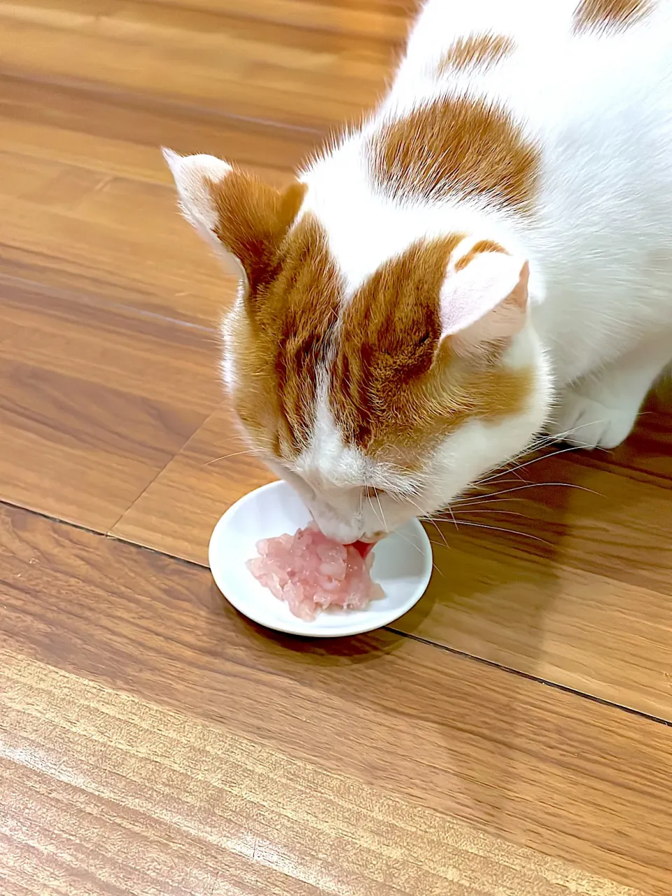 Snapdishの料理写真:おすそ分け🐱🐟|ひげおやじさん