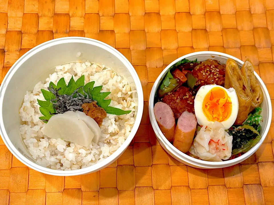 中学生息子のお弁当🍱 肉団子の甘酢あんと春巻き弁当🍱|Snow10さん