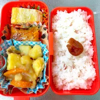 Snapdishの料理写真:肉じゃが弁当|あおのりさん