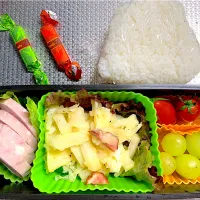 Snapdishの料理写真:今日のお弁当🍅20241101|rococoさん