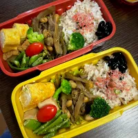 Snapdishの料理写真:お弁当|minaさん