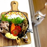 Snapdishの料理写真:あるもんで弁当| cafe3733さん