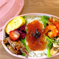 Snapdishの料理写真:今日のお弁当|ルビままさん