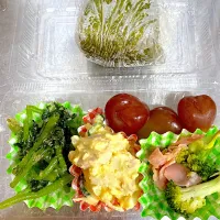 Snapdishの料理写真:母へのお弁当。新米梅干しおにぎり高級シャインマスカットのマイハート|りえはるさん